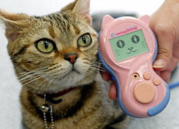 圖文 貓語 便攜電子翻譯器日本東京問世