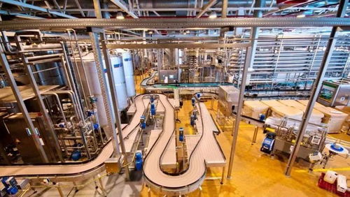 優(yōu)化工廠現(xiàn)場(chǎng)布局與流程 提升商業(yè)管理效能的關(guān)鍵路徑