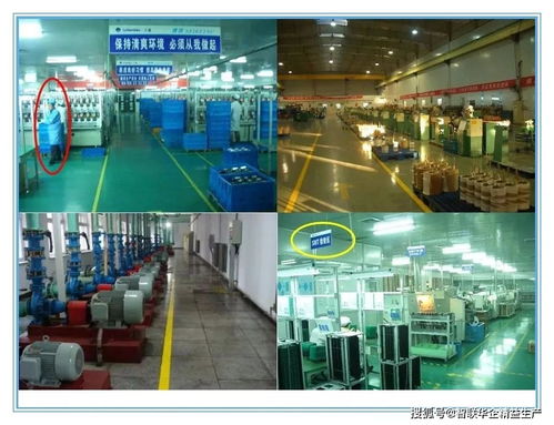 工廠6S與目視化管理 人手一份的卓越運(yùn)營指南